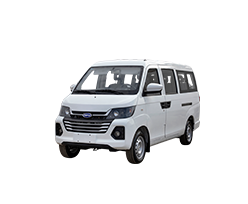 model_version