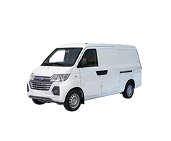 model_version