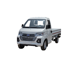 model_version